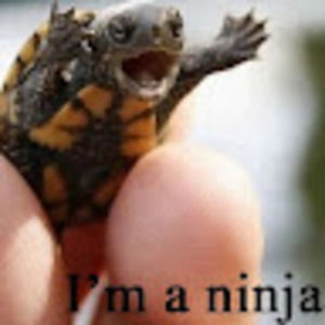 Meet your Posher, Ender